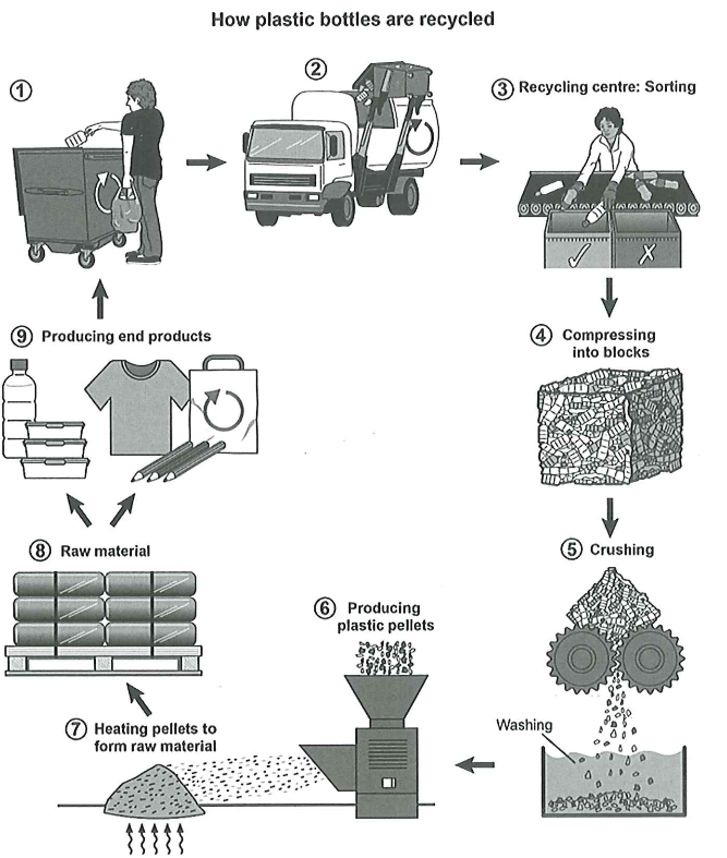 Cambridge IELTS 16 Academic Writing Test 4 Task 1 Band 8 Model Answer prompt illustration